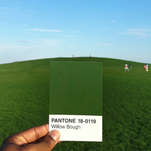 pantone7