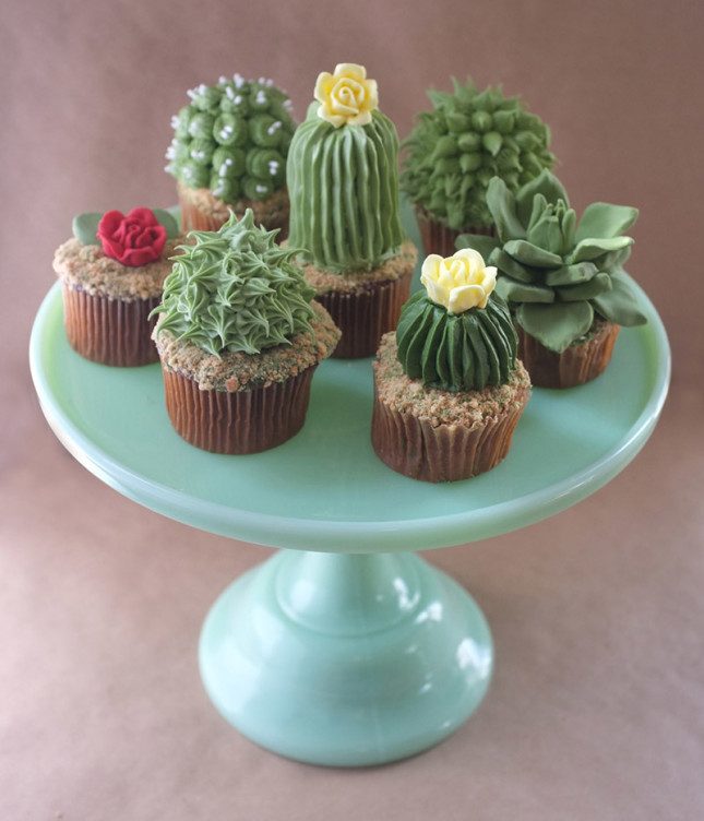 Alana Jones-Mann houseplant cupcake
