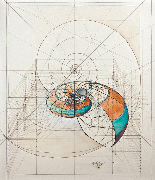 Un Libro Da Colorare Per Adulti Che Svela La Matematica Dietro La Natura