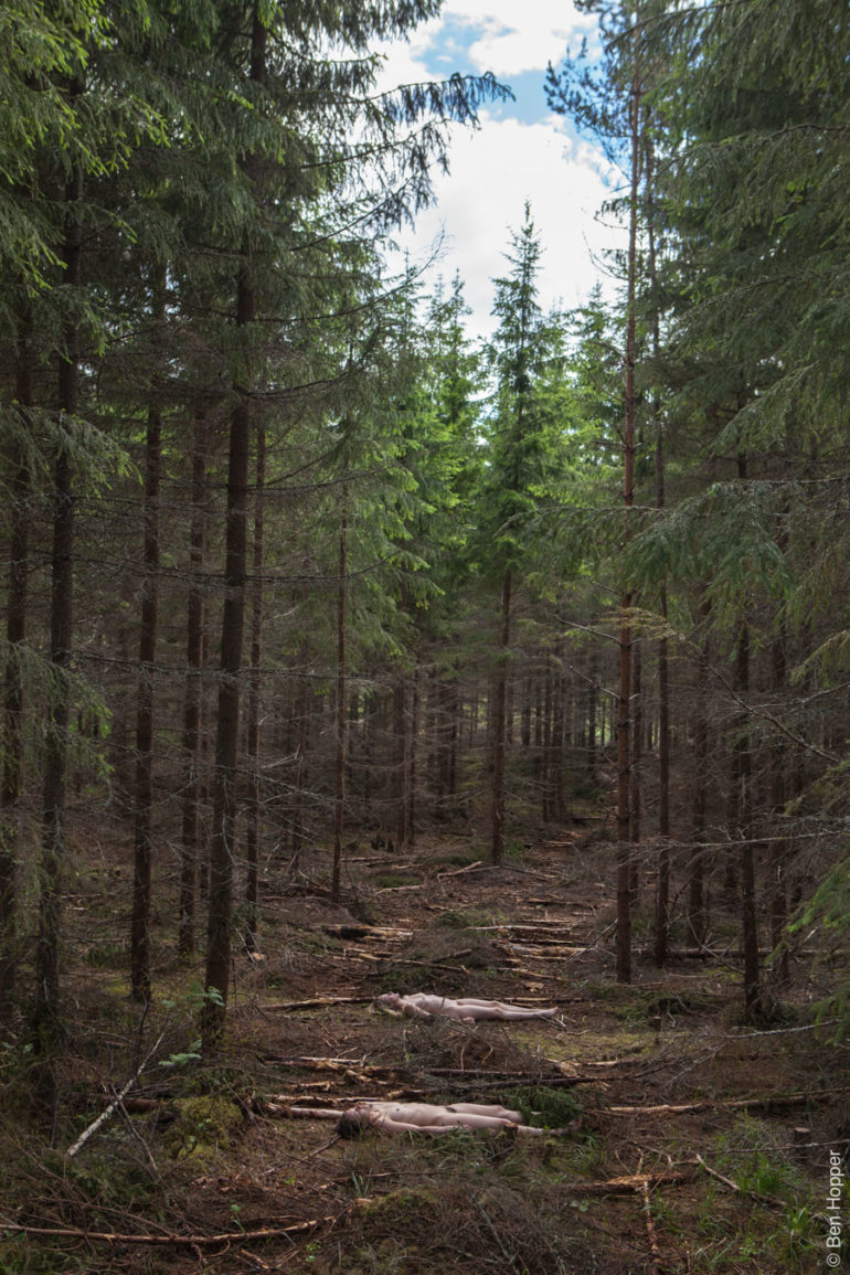 TheForestProject_MG_71552